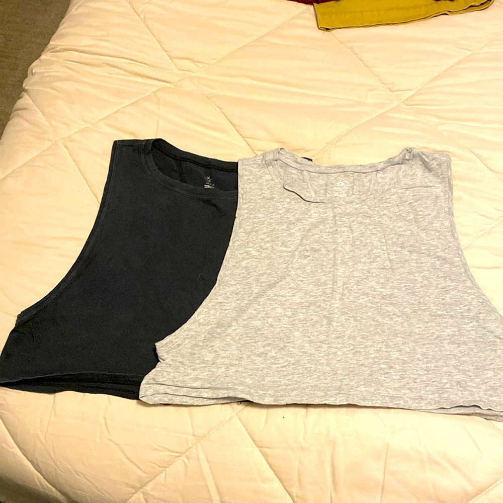 Aerie Offline Cropped Tanks